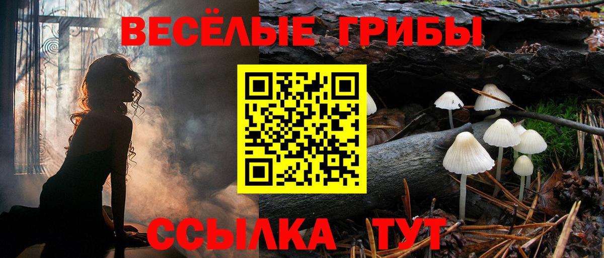Галлюциногенные грибы GOLDEN TEACHER Павлово