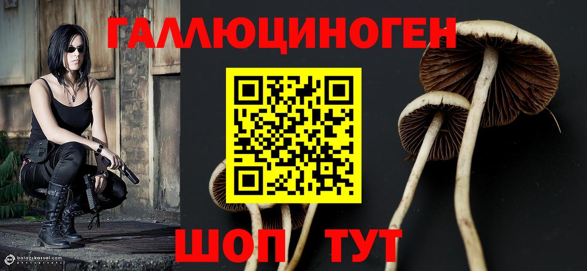 Псилоцибиновые грибы MAGIC MUSHROOMS  Псилоцибиновые грибы прущие грибы  Павлово  Вход с VPN 